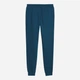 Спортивные штаны мужские Puma Ess Block Sweatpants 694346-36 L Синий/Зеленый/Черный (4070033466919) - изображение 5