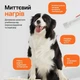 Професійний фен для собак та котів Neakasa F1 Pet Dryer - зображення 6