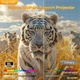 Проектор Magcubic HY300MAX автофокус, Android 14, 4K, Wi-Fi, Bluetooth, пульт Д/У, для дому та офісу, IPTV, фільмів, Megogo, SweetTV, YouTV + промокоди на ТБ (Magcubic HY 300 Max 400 ANSI Aliwinner H726) - зображення 9