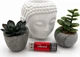 Флеш-память USB Wibrand Ladybug 16GB USB 3.2 Gen1 Red (WI3.2/LB16P10S) - изображение 5