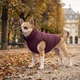 Двухсторонняя курточка для собак WAUDOG Re-clothes, XS22, бордово-черная (190622) - изображение 9