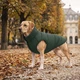 Курточка для собаки WAUDOG Re-clothes двостороння, смарагдово-чорна, L55 (191628) - зображення 9