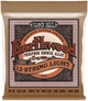 Струны для акустической гитары Ernie Ball 2153 Earthwood Phosphor Bronze 12-String Light 9/46 - изображение 1