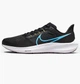 Кросівки чоловічі Nike Pegasus 39 Running Shoes Black Dh4071-002 44 Чорний DH4071-002 - зображення 1