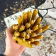 Жовті воскові свічки 26 см - зображення 3