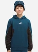 Подростковое худи для мальчиков Puma Essentials Block 69473536 134-140 см Синее (4070033463376) - изображение 1