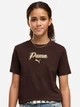 Подростковая футболка для девочки Puma Essentials Script Glitter 69465533 146-152 см Коричневая (4070033334546) - изображение 1