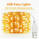 10М, 100 LED USB гирлянда с проводом для праздничного освещения, питание от USB, подходит для украшения стен на вечеринках, свадьбах, фестивалях, в помещениях, спальнях, обеденных столах и для домашнего декора - изображение 1