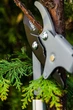 Сучкорез механический Neo Tools 765 мм 40 мм сталь оранжевый - изображение 2