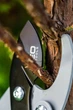 Сучкорез механический Neo Tools 765 мм 40 мм сталь оранжевый - изображение 4