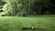 Системы полива Karcher, OS 3220, для прямоугольных территорий - изображение 2