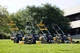 Газонокосилка аккумуляторная DeWalt DCMWP134N 53 см 67 л 25-102 мм черная с желтым - изображение 8