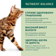 Консервований корм Optimeal Adult Cats Rabbit Carrot jelly - вологий корм з кроликом у морквяному желе для дорослих котів 85 г (B2711702) x12 шт. - зображення 3