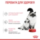 Консервований корм Royal Canin Babycat wet in mousse 195 г (4098002) x12 шт. - зображення 2