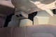 Коврики EVA (EU, Бежевые) для Volkswagen Passat B7 2012-2015 гг - изображение 4
