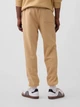 Спортивный костюм мужской GAP 960889046 XL Бежевый (1162584483) - изображение 5