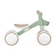 Беговел Globber Learning Bike ECOlogic Pistachio от 1 до 3 лет (736-109) - изображение 6
