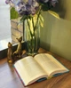 Книга Мої друзі. Фредрік Бакман - изображение 3