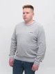 Джемпер чоловічий світло-сірий 5413-17 3XL - зображення 1