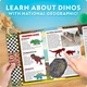 Набор для творчества STEM Гигантское яйцо динозавра National Geographic Giant Dinosaur Egg Arts and Crafts Activity Kit - изображение 6