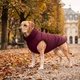 Курточка для собак WAUDOG Re-clothes двостороння, L55, A 52-55, B 77-79, C 50-55, бордовий - зображення 2