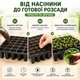 Касета для розсади 50 комірок (XTB50) Agreen 011708 - зображення 4