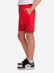 Підліткові шорти на резинці Nike 292568106 (XL) 158-170 см Червоні (1159858986) - зображення 3