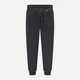 Подростковые теплые спортивные штаны для мальчика Levi's 897629079 (M) 140-146 см Серые (1159845826) - изображение 2