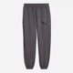 Спортивные штаны мужские Puma Sport Street Relaxed Gr 694319-34 2XL Серые (4070033384985) - изображение 4