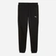 Спортивные штаны мужские Puma Pumatech Pants 693952-01 2XL Черные (4070033549186) - изображение 4