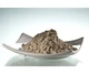 Мікронізовані морські водорості THALGO Micronized Marine Algae 10х40 г - изображение 2