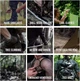 Паракорд 650 девятижильный 4 мм 100м Катушка Army Green Camo Прочный шнур для выживания, кемпинга и палаток - изображение 4