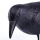 Відлякувач птахів муляж Ворона реалістична пластикова Bird Repellent Plastic Crow 38см - зображення 4