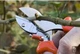 Секатор Löwe Original 5 107 с наковальней для обрезки веток до 15 мм - изображение 2