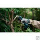 Аккумуляторный секатор Bosch Professional Pro Pruner 12 В для обрезки веток до 25 мм - изображение 2