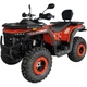 Квадроцикл Spark WILD 200 - зображення 3