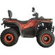 Квадроцикл Spark WILD 200 - зображення 8