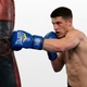 Боксерские перчатки спортивные Everlast 6 унций (6 oz) синие - изображение 2