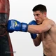 Боксерские перчатки Everlast 6 унций (6 oz) синие - изображение 2