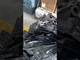 Окучник Бомет на польський культиватор міжрядний, для картоплі-сажалки, міцний матеріал - зображення 2
