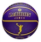Универсальный Баскетбольный Мяч Wilson NBA Player Icon Outdoor(WZ4027601XB7) 7 - изображение 1