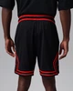Баскетбольні Шорти Jordan Sport Men's Dri-FIT Mesh Diamond Shorts(HF9910-014) L Чорний - изображение 3