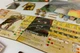 Настільна гра Portal Games Острів духів: Кущі та кігті (5905794220373) - зображення 18