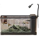 Аквариум KUOTING Stream Aquarium 2025, новая модель, интегрированная система оксигенации, ленивый экологический ландшафт, боковой фильтр, аквариум для ручья [черный] - изображение 3