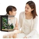 Интеллектуальный самоциркуляционный аквариум Midea Huixuan Smart Eco Desktop Fish Tank Home с системой управления, таймером, количественным и научным подбором корма. - изображение 2