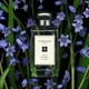 Кельнская вода JO MALONE WILD BLUEBELL edc 100 ml spray (L) - изображение 3