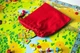 Gra planszowa Portal Games Żaroliść (edycja polska) (5905794221639) - obraz 13