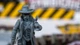 Додаток до настільної гри Портал Games Zombicide: Iron Maiden Набір 2 (5902560388213) - зображення 12
