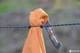 Туристичний мотуз Sea To Summit Clothesline білизняний 3.5 м (9327868008698) - зображення 3