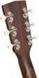Электроакустическая гитара Cort Exotic-GA Walnut (Sunburst) - изображение 7
